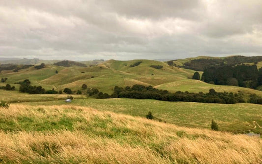 A Photo taken in Waipukurau