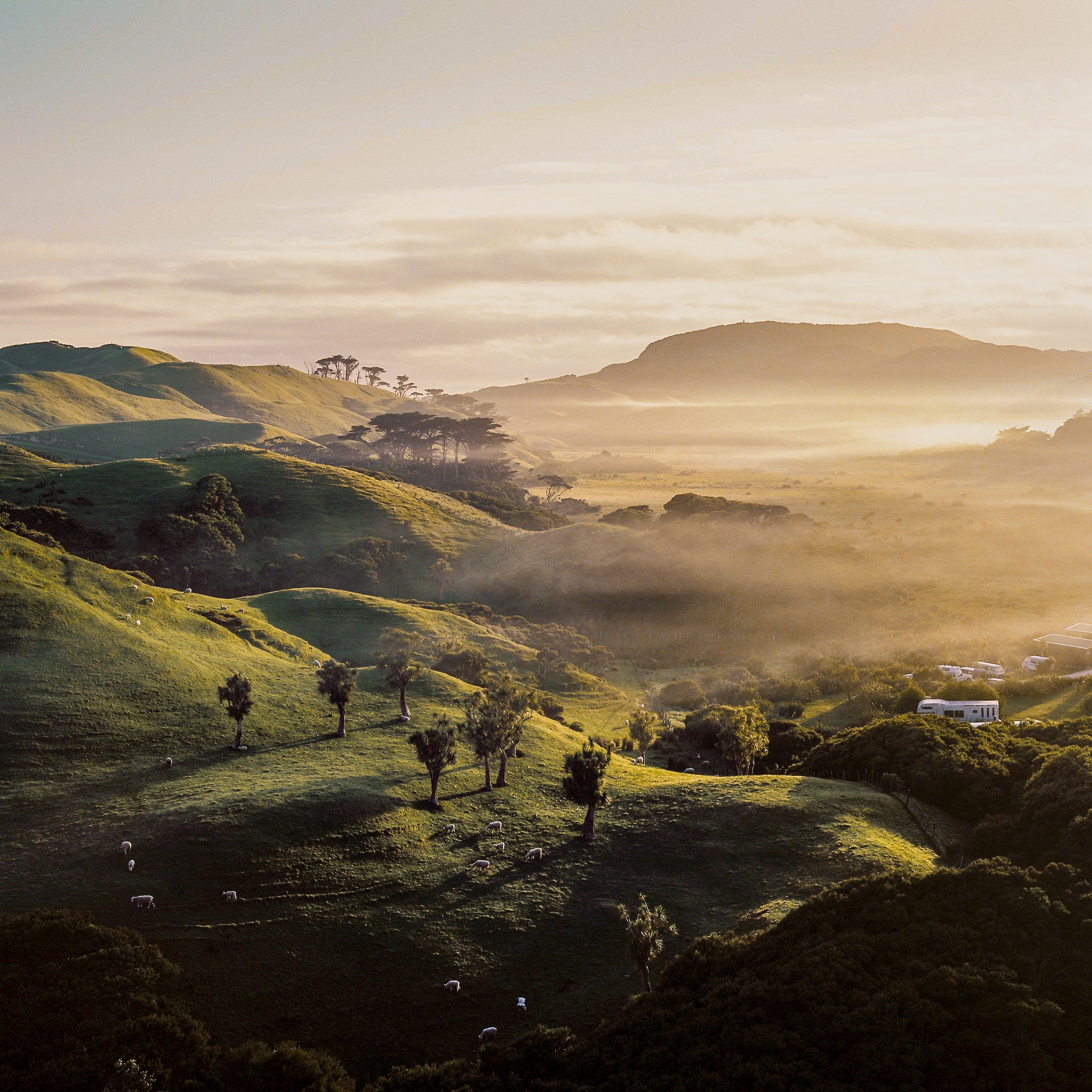 Image of New Zealand landscape during sunrise..