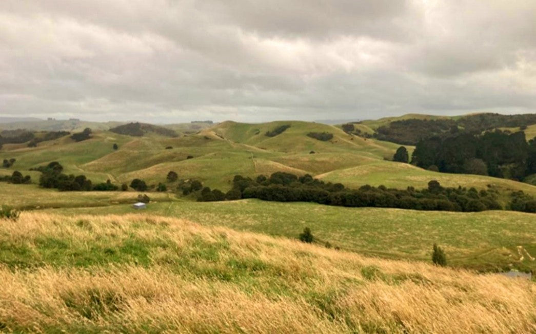 A Photo taken in Waipukurau
