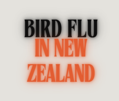 Rainwater & Avian Influenza (H5N1) - Frequently Asked Questions