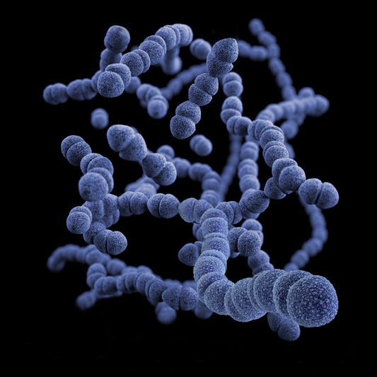 Computer generated image of bacteria that you will find in water due to bad drinking water standards.