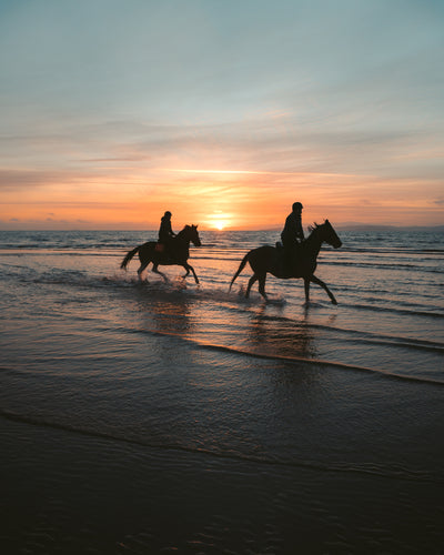 Horse Hoof Care